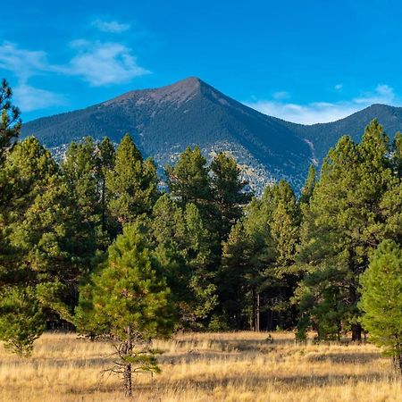 Mt. Elden Adventure Villa Флагстаф Екстериор снимка