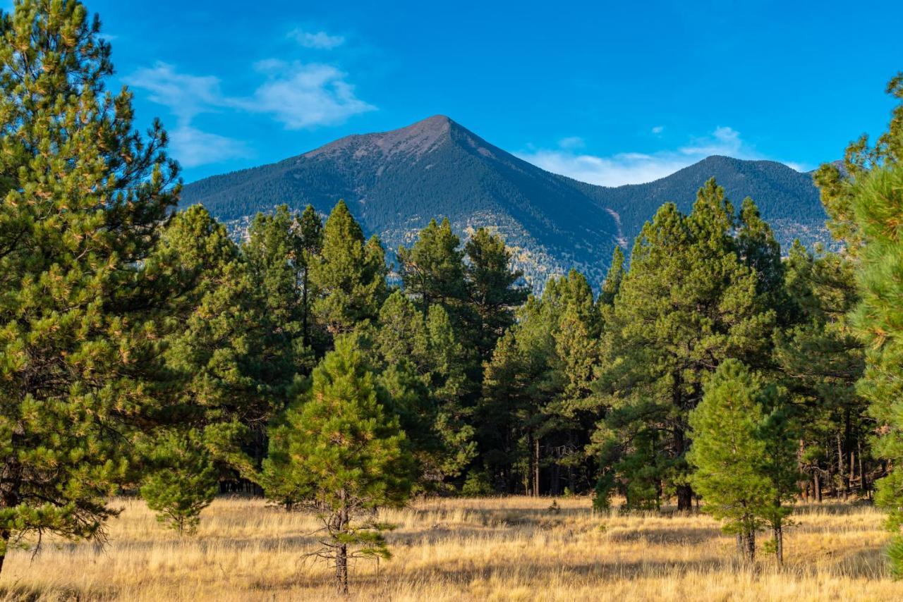 Mt. Elden Adventure Villa Флагстаф Екстериор снимка