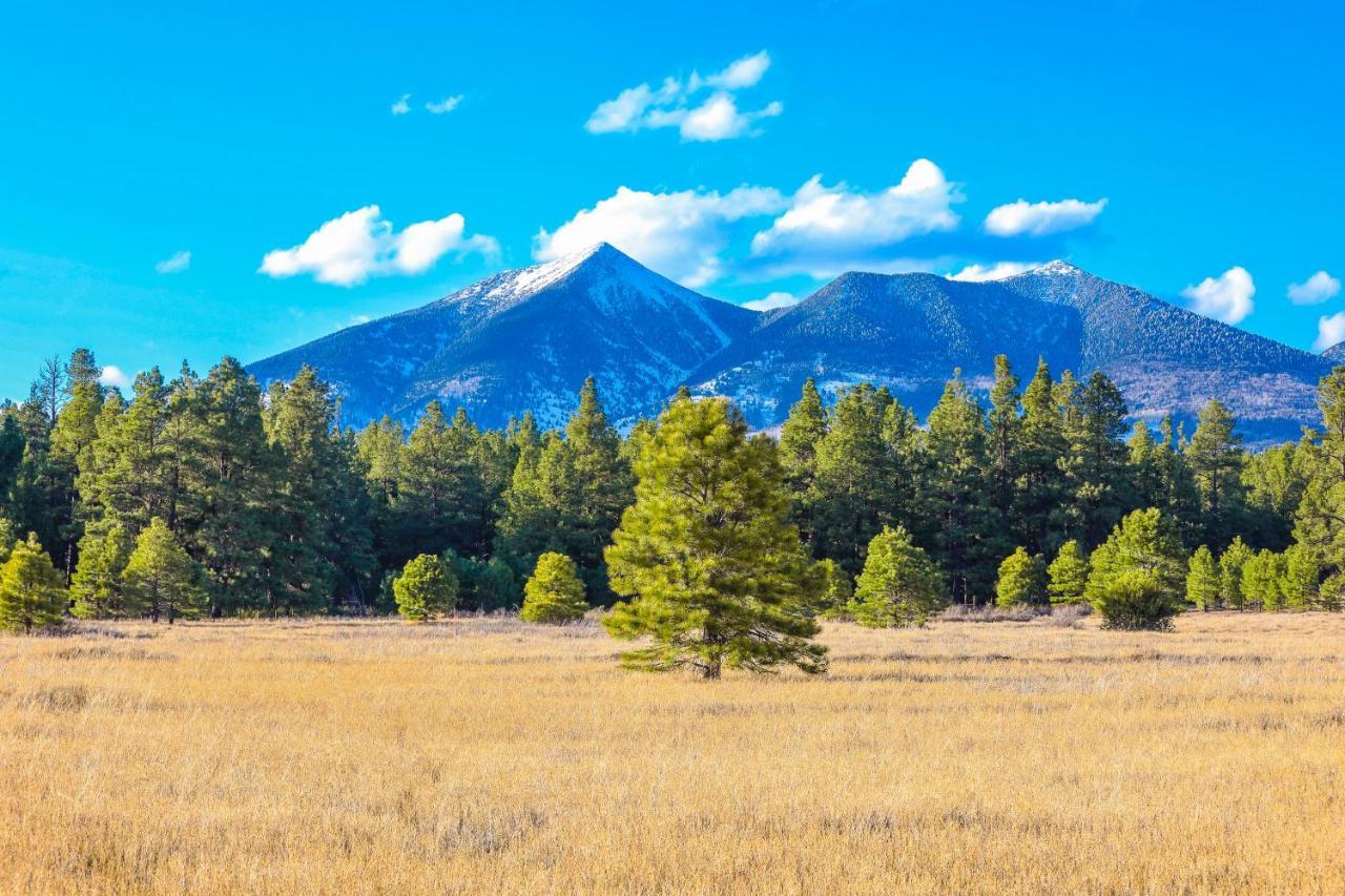 Mt. Elden Adventure Villa Флагстаф Екстериор снимка