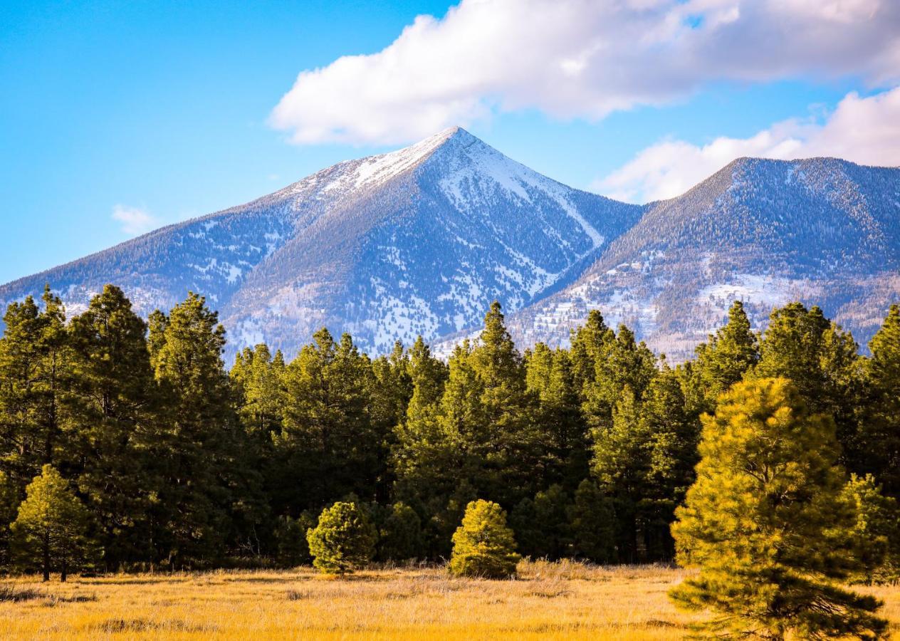 Mt. Elden Adventure Villa Флагстаф Екстериор снимка